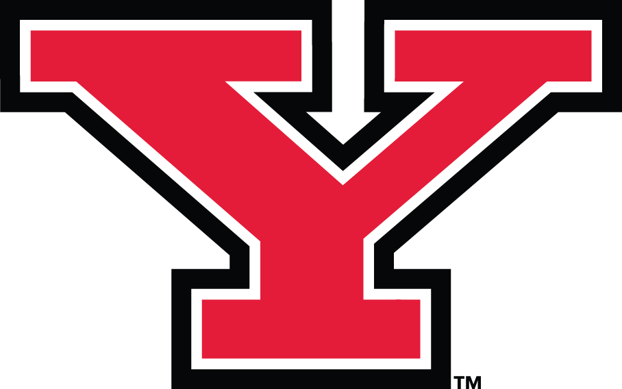 Youngstown State Penguins decals